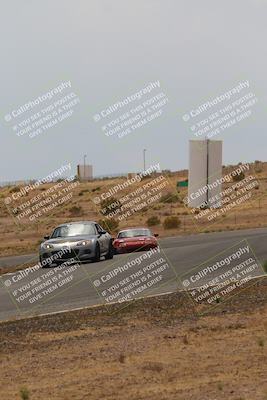 media/May-03-2025-Lucky Dog Racing (Sat) [[206de64b9d]]/Turn 6 (150pm-230pm)/